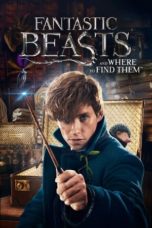 Nonton film Fantastic Beasts and Where to Find Them (2016) terbaru di Dutamovie21