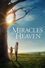 Nonton film Miracles from Heaven (2016) terbaru di Dutamovie21