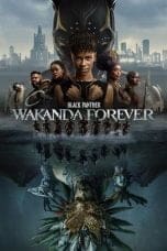 Nonton film Black Panther: Wakanda Forever (2022) terbaru di Dutamovie21