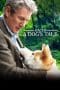 Nonton film Hachi: A Dog’s Tale (2009) terbaru di Dutamovie21