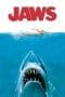 Nonton film Jaws (1975) terbaru di Dutamovie21