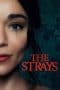 Nonton film The Strays (2023) terbaru di Dutamovie21