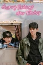 Nonton film Cherry Blossoms After Winter (2022) terbaru di Dutamovie21