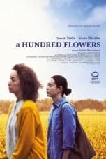 Nonton film A Hundred Flowers (2022) terbaru di Dutamovie21