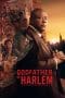 Nonton film Godfather of Harlem Season 3 (2023) terbaru di Dutamovie21