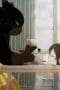 Nonton film The Masterful Cat Is Depressed Again Today Season 1 Episode 5 terbaru di Dutamovie21