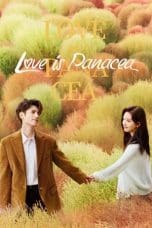 Nonton film Love is Panacea ( 2023) terbaru di Dutamovie21