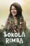 Nonton film Sokola Rimba (2013) terbaru di Dutamovie21