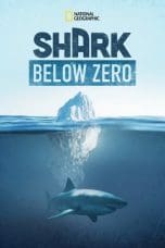 Nonton film Shark Below Zero (2023) terbaru di Dutamovie21