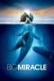 Nonton film Big Miracle (2012) terbaru di Dutamovie21