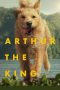 Nonton film Arthur the King (2024) terbaru di Dutamovie21