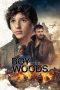 Nonton film The Boy in the Woods (2023) terbaru di Dutamovie21