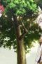 Nonton film Rokka: Braves of the Six Flowers Season 1 Episode 2 terbaru di Dutamovie21