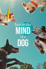 Nonton film Inside the Mind of a Dog (2024) terbaru di Dutamovie21