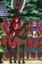 Nonton film Sengoku BASARA – End of Judgement Season 1 Episode 4 terbaru di Dutamovie21