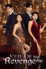 Nonton film Veil of Revenge (2024) terbaru di Dutamovie21