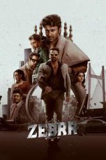 Nonton film Zebra (2024) terbaru di Dutamovie21