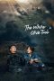 Nonton film The White Olive Tree (2025) terbaru di Dutamovie21